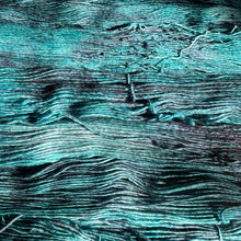 Load image into Gallery viewer, Gulf of Mexico