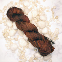 Load image into Gallery viewer, Petrified Wood