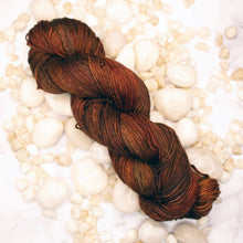 Load image into Gallery viewer, Petrified Wood